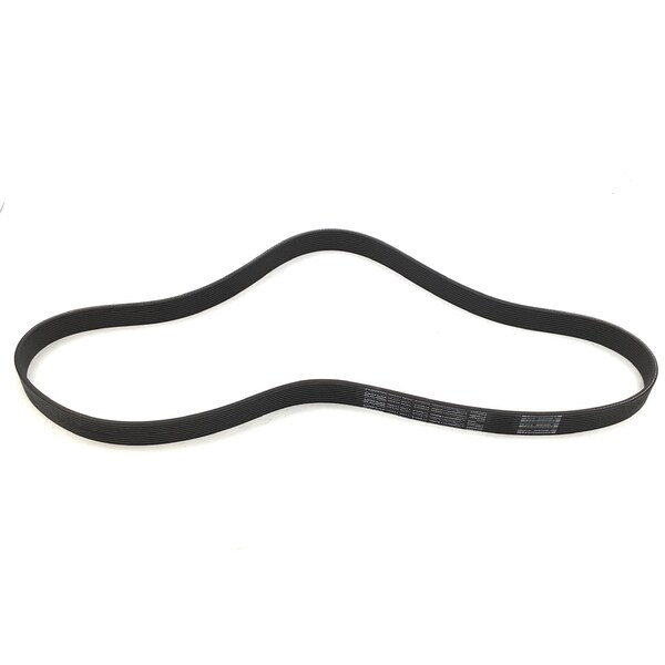 Dayco Poly Rib Belt, Dayco, 6100672 6100672 - main